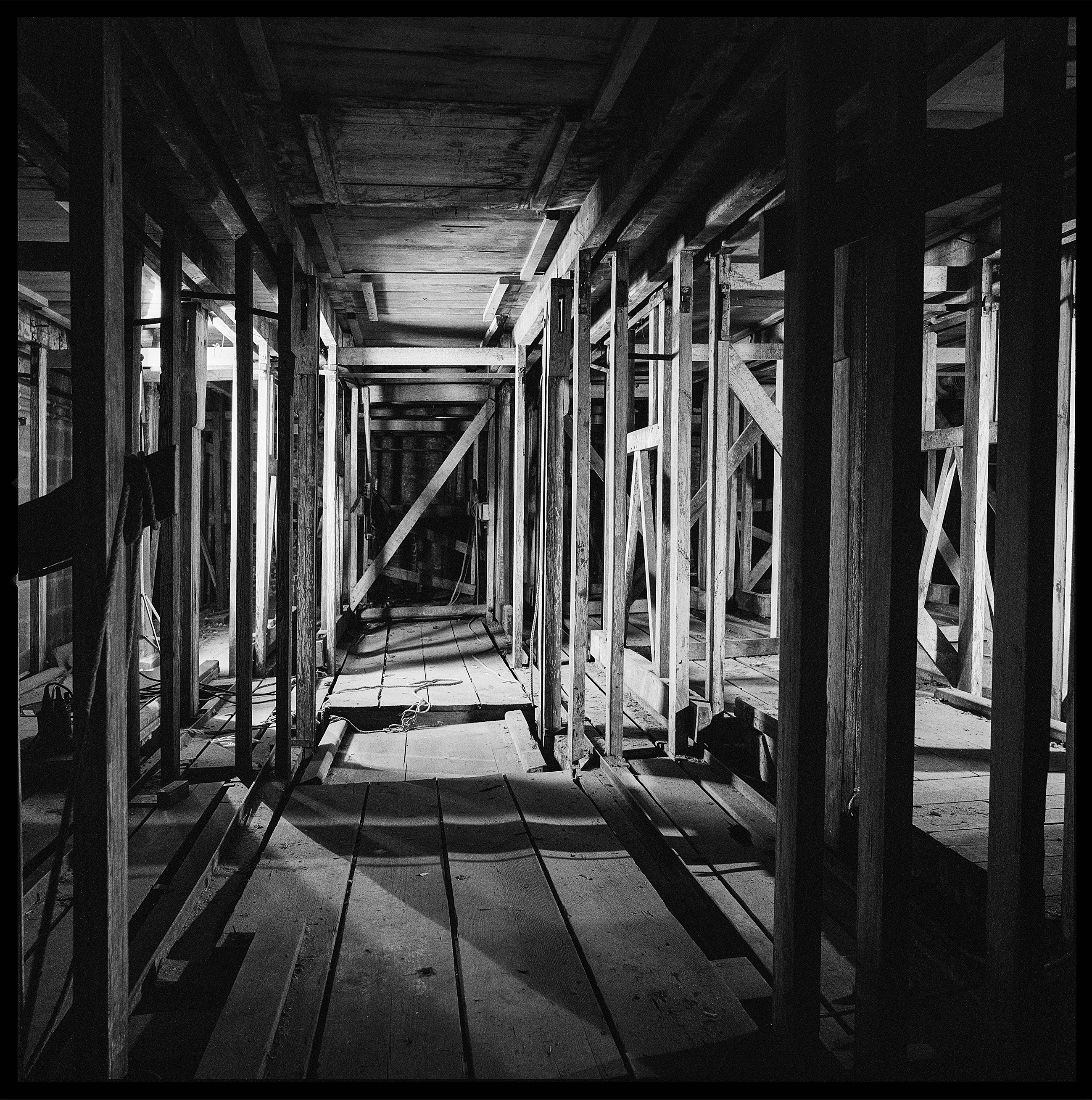 21,Picture 017 - Photographie de Forêts dévastées par André Soupart